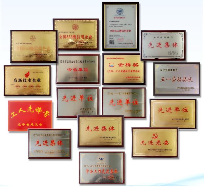 企業(yè)榮譽(圖1)