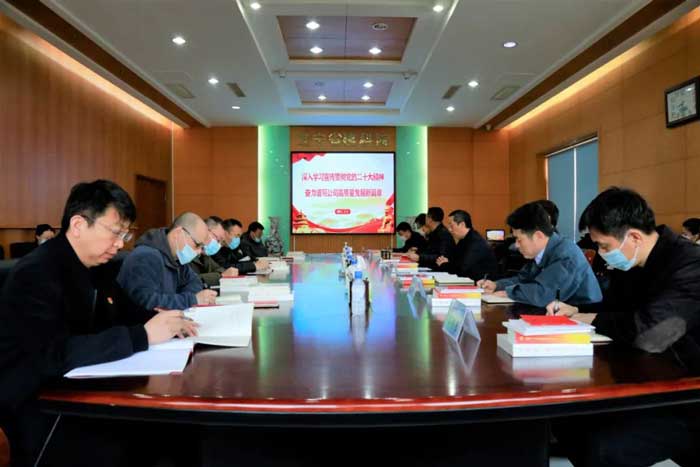 深入學習宣傳貫徹黨的二十大精神奮力譜寫公司高質量發(fā)展新篇章(圖2)